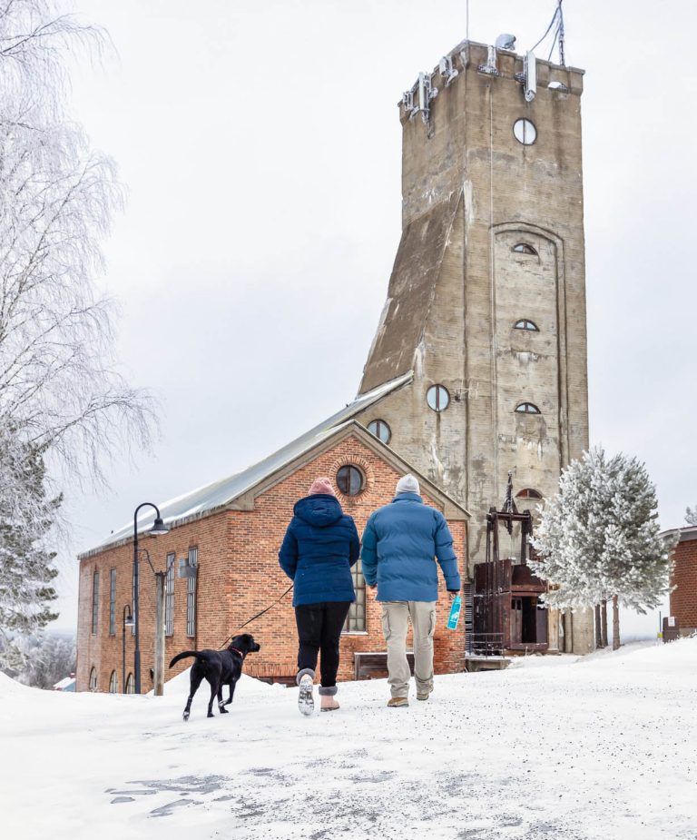 Kulttuuri